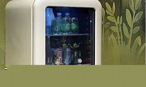 冰吧和冰箱的区别是什么-冰吧和冰箱的区别