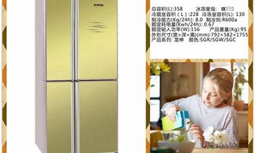 六安索伊冰箱-六安索伊冰箱厂