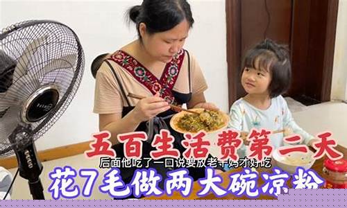五百生活家电-五六百的家电有什么