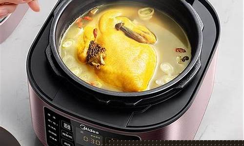 电压力锅哪个牌子好用性价比高-电压力锅哪个牌子好