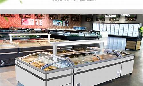 大型冰箱展示柜-大型冰箱展示柜图片大全