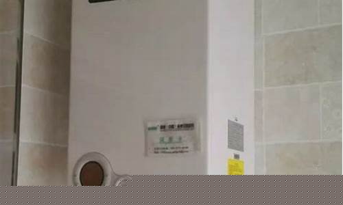 壁挂炉哪个牌子好省气-壁挂炉哪个牌子好省气又省钱