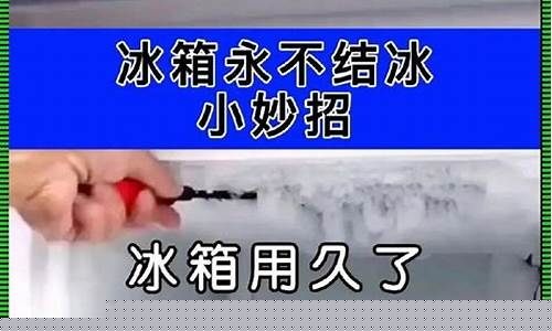 冰箱里放什么不结冰-冰箱里放什么不结冰和霜