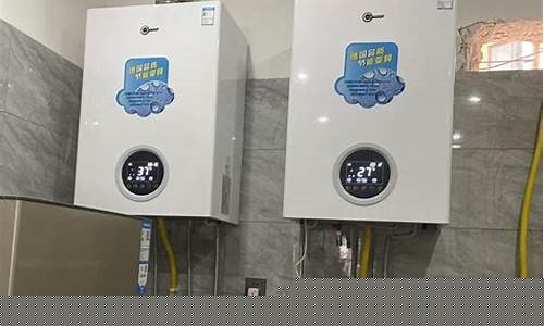 燃气壁挂炉有必要装吗-有燃气壁挂炉有必要装热水器吗