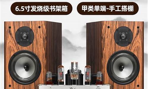 惠威书架音箱推荐-惠威最新书架箱产品