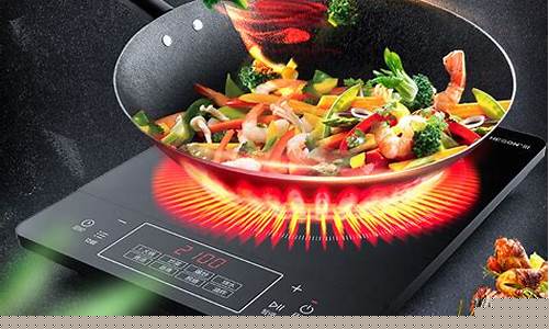 电磁炉哪个品牌最好用-电磁炉哪个品牌好一些