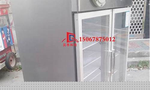 现代冰箱是哪个国家的品牌-现代冰箱生产厂家