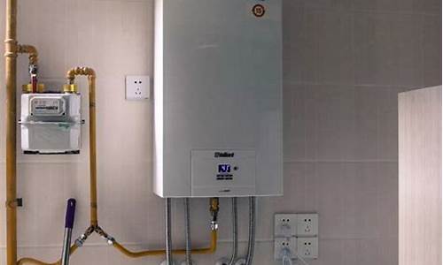 室外天然气热水器哪个品牌好-室外天然气热水器哪个品牌好用