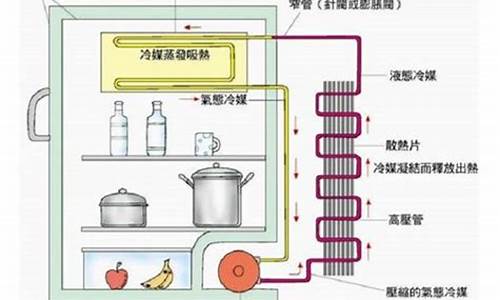 电冰箱寿命最长多少年-电冰箱寿命是20年